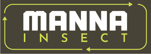 Manna Insect