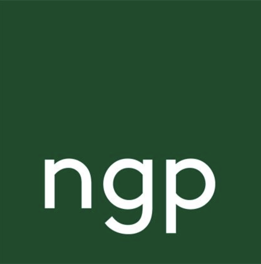 NGP Steel Button | Negative Gain Productions