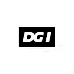 DGI Impact DGI Impact