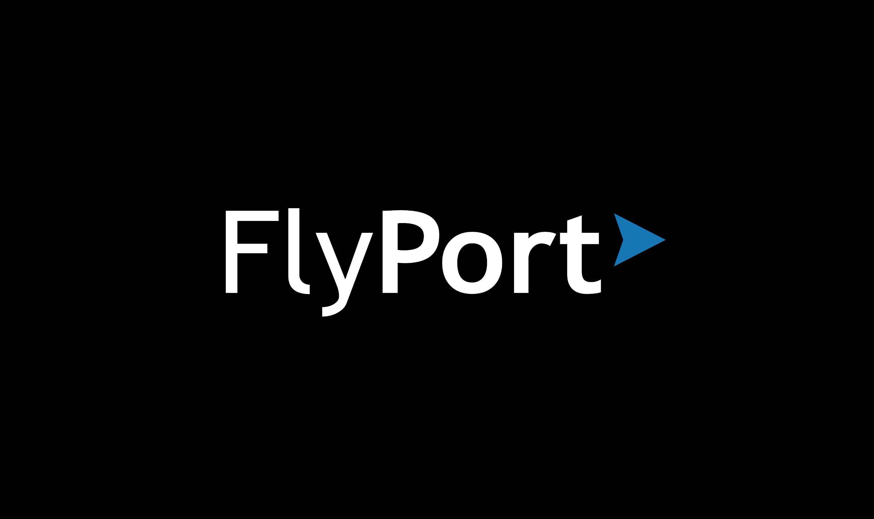 FlyPort