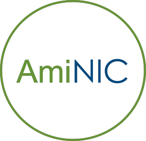 AmiNIC