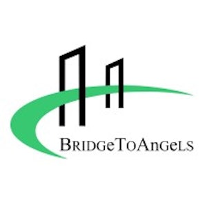 BridgeToAngels