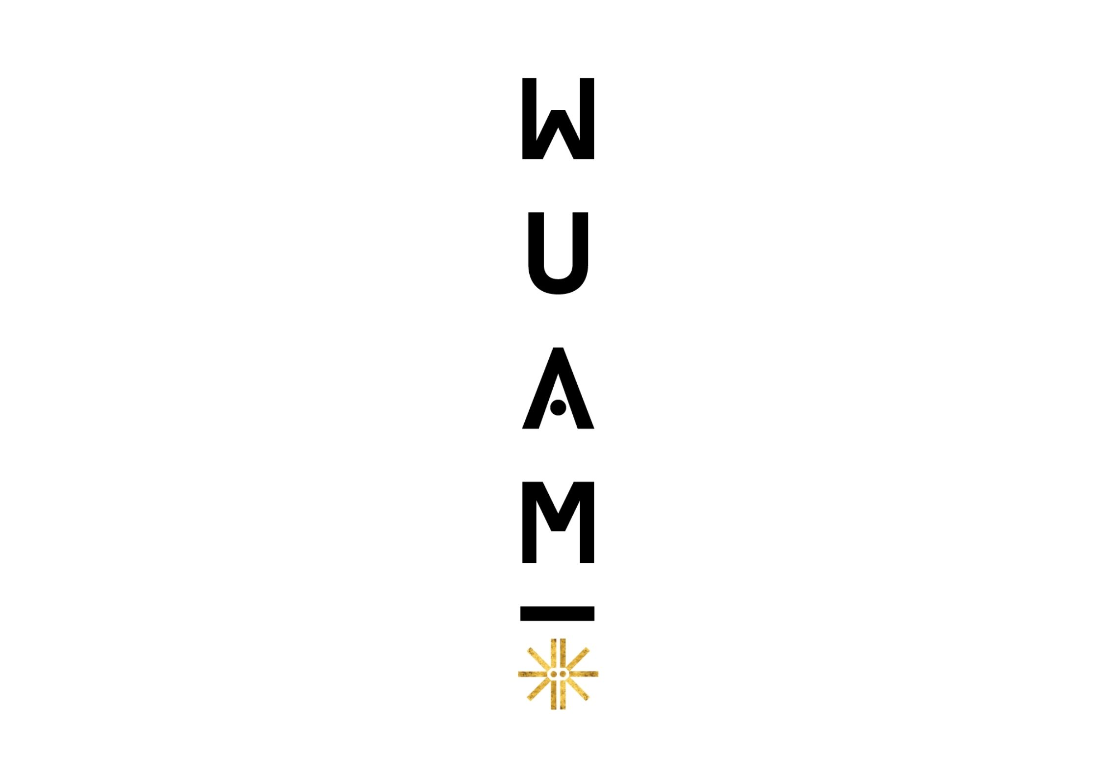 WUAM WILD Kombucha Brewery