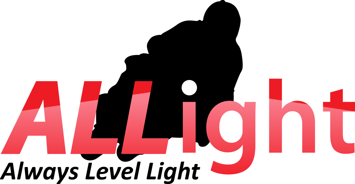 Allight International