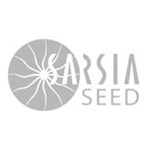 Sarsia Seed Sarsia Seed
