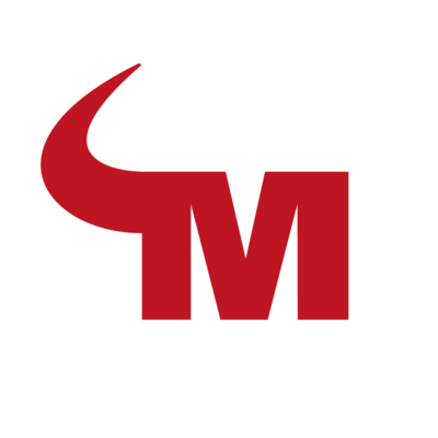 Mavericks Guerrilla Consulting