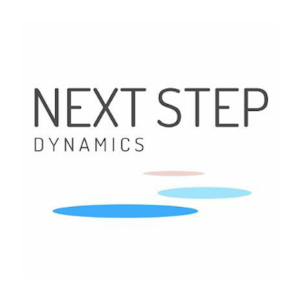 Next Step Dynamics