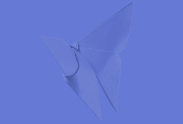 company gallery image