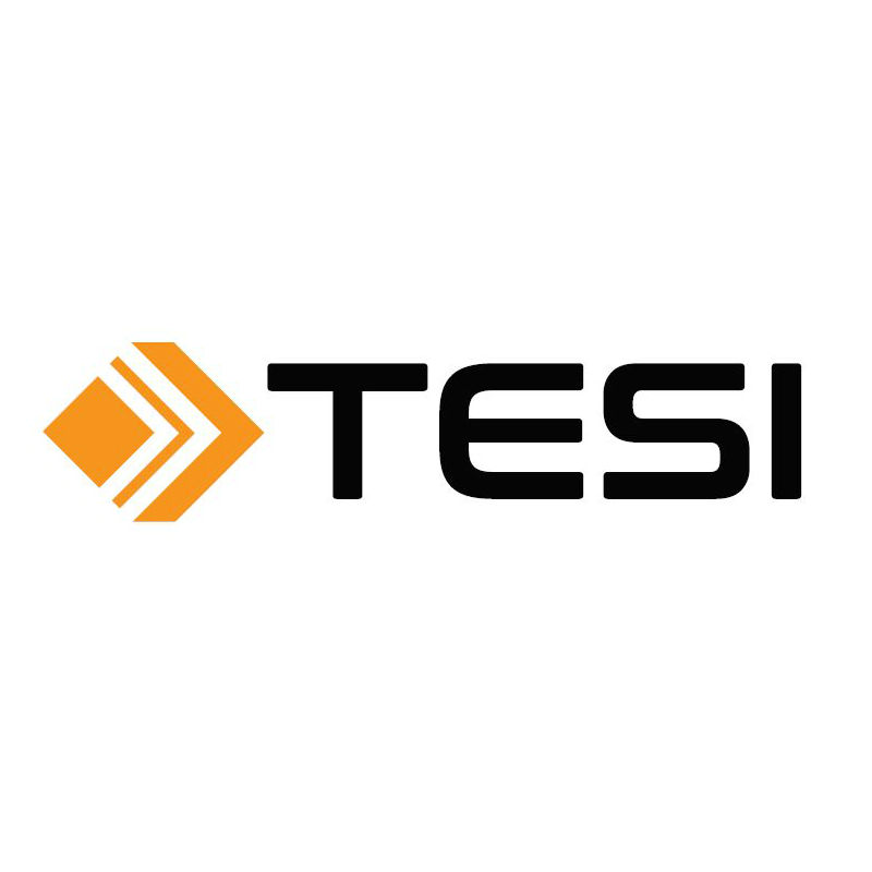 Tesi: Finnish Industry Investment