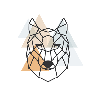 Taiga Tools - Tools and Accessories 