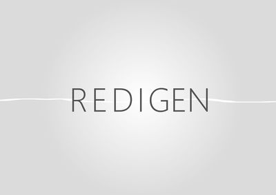 Redigen