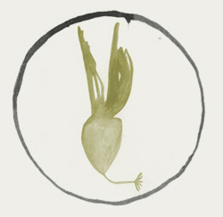 The Northern Company