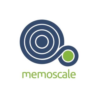 MemoScale