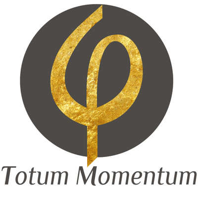 Totum Momentum AS