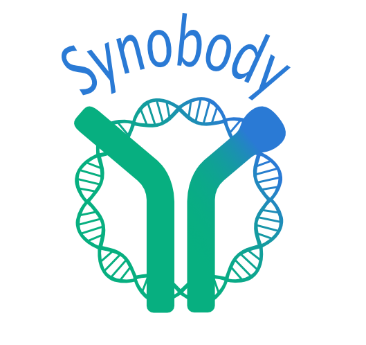 Synobody