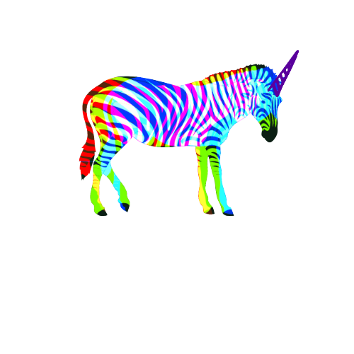 The Visionary Company & VC