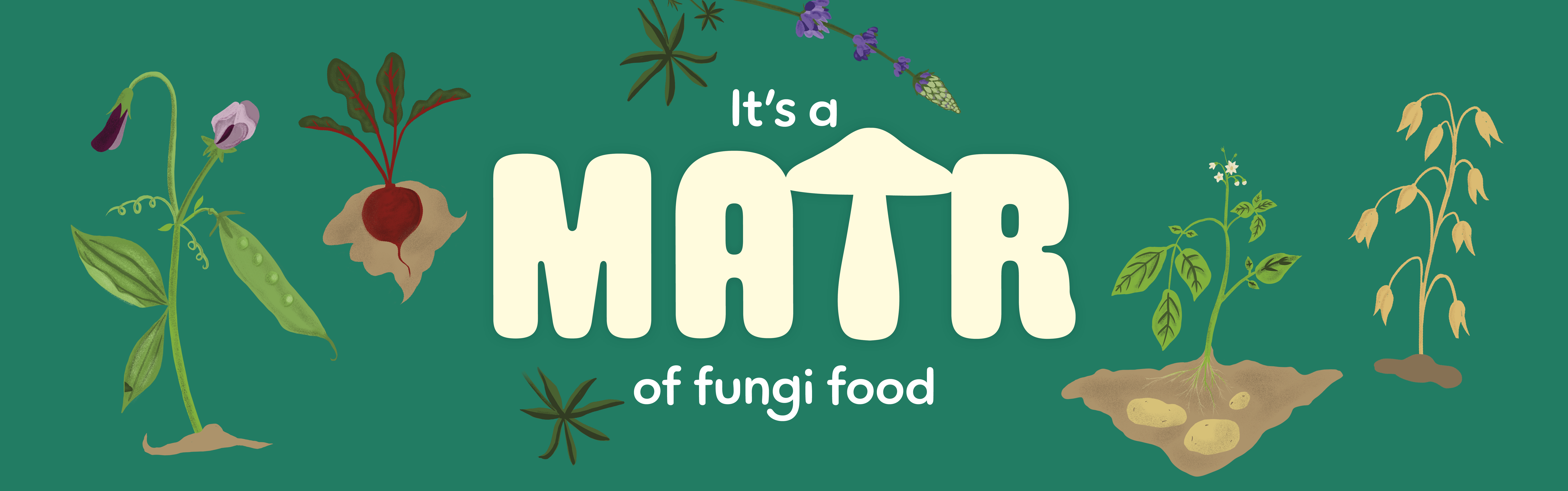 Matr Foods