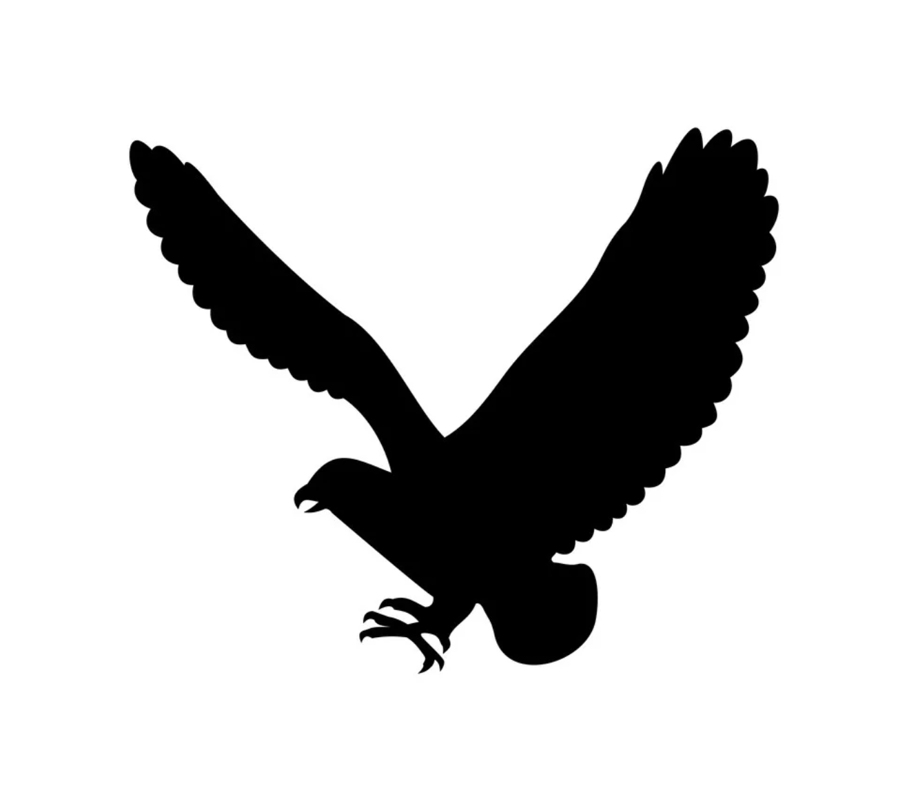 Sparrowhawk Systems