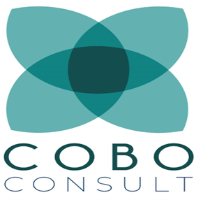 Cobo Consult