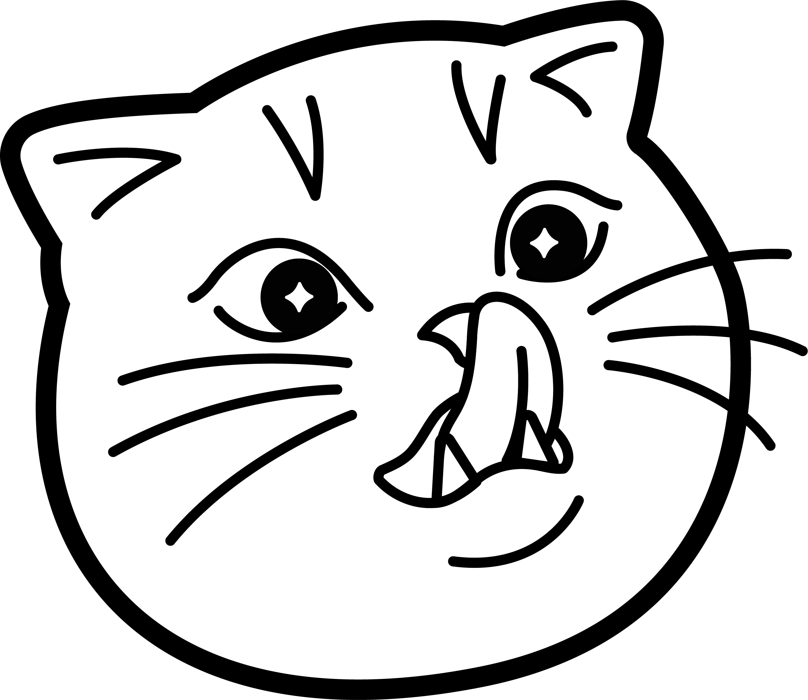 Dorm Cat Communications