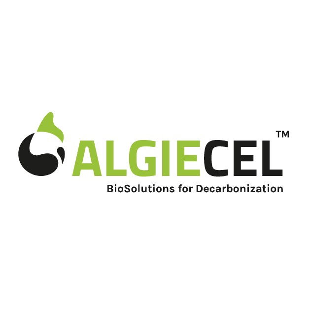 Algiecel A/S