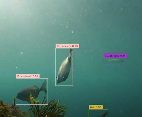 company gallery image