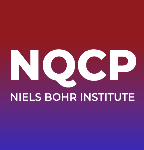 Novo Nordisk Foundation Quantum Computing Programme (NQCP)