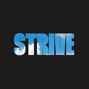 Strive - Strive for startups
