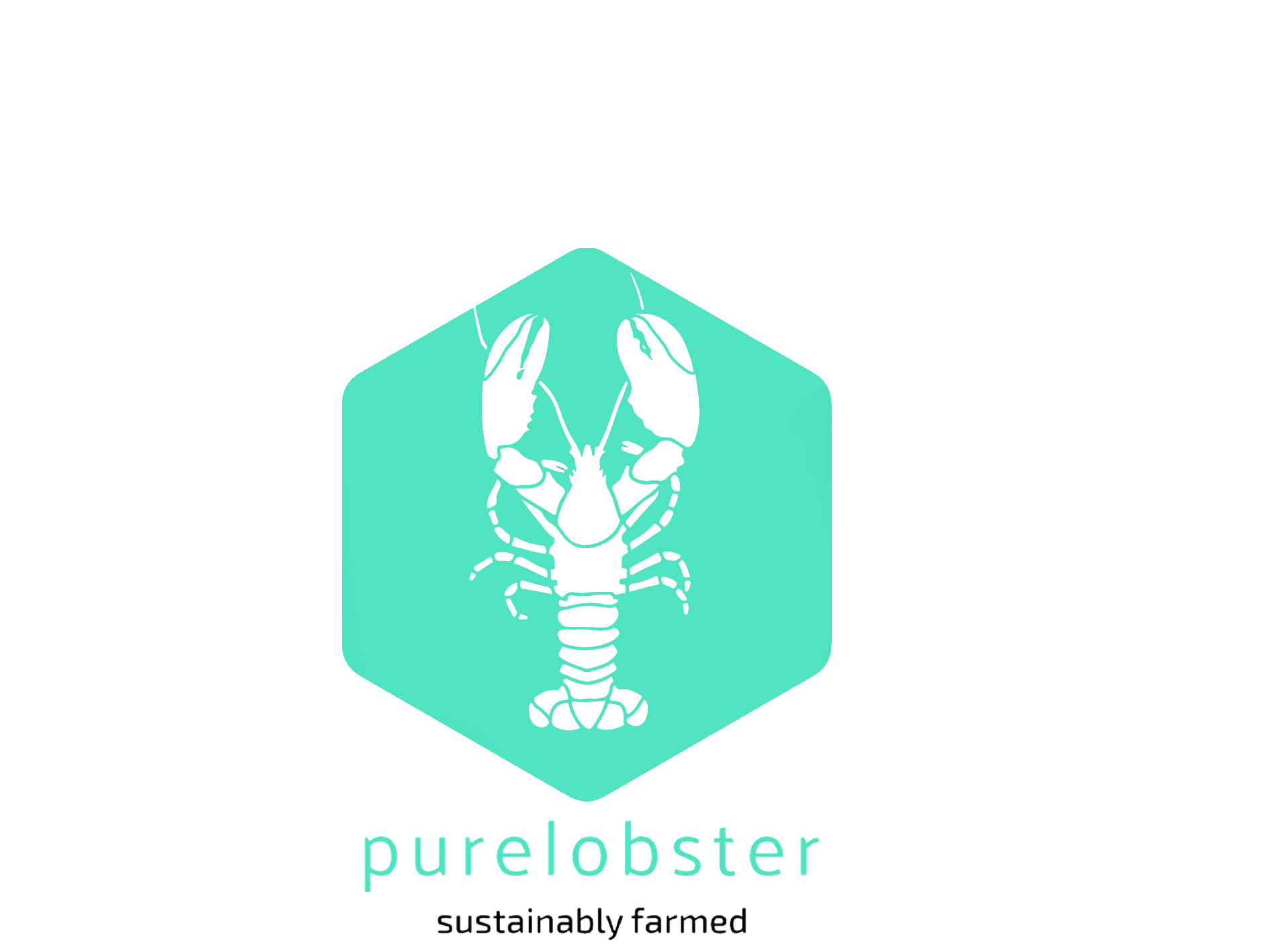 Pure Lobster AS