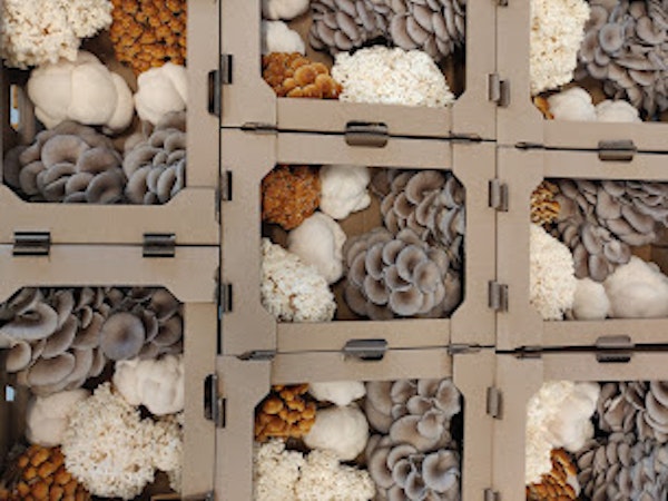 company gallery image