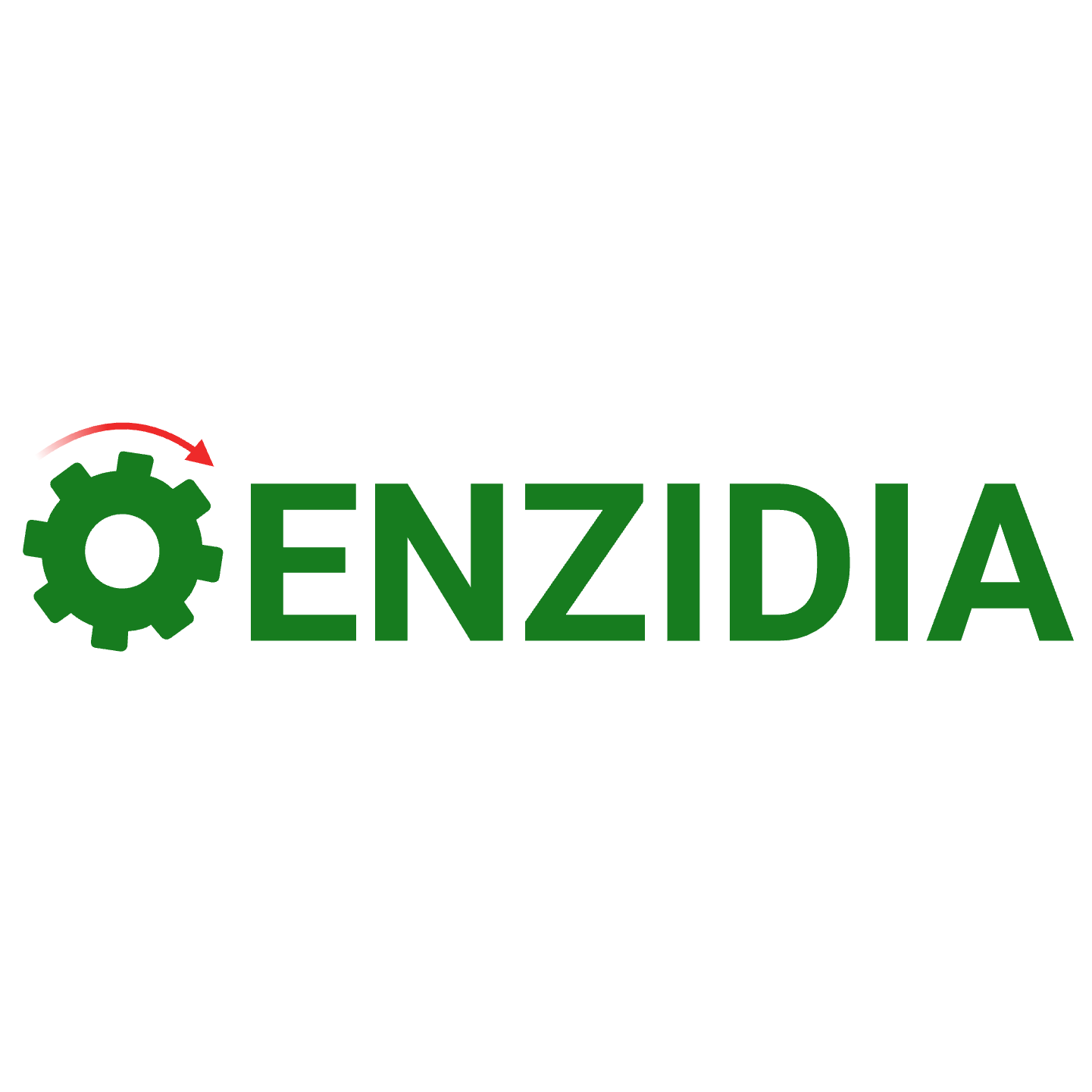 ENZIDIA