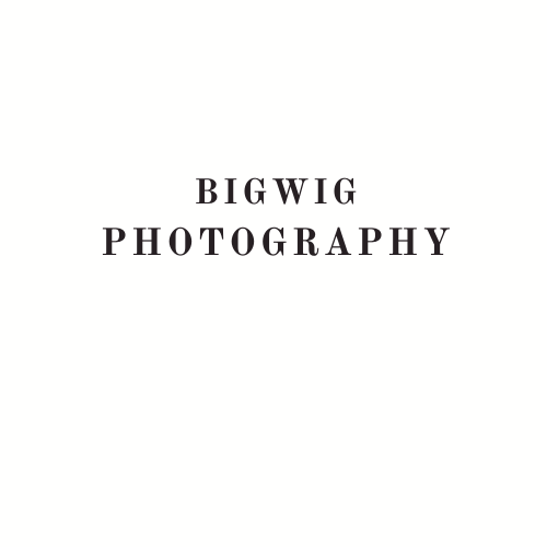 Bigwig Photography