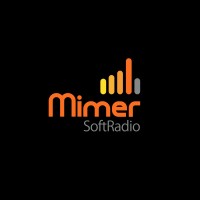 LS Electronics (MimerSoftradio)