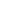 BirdsatFive