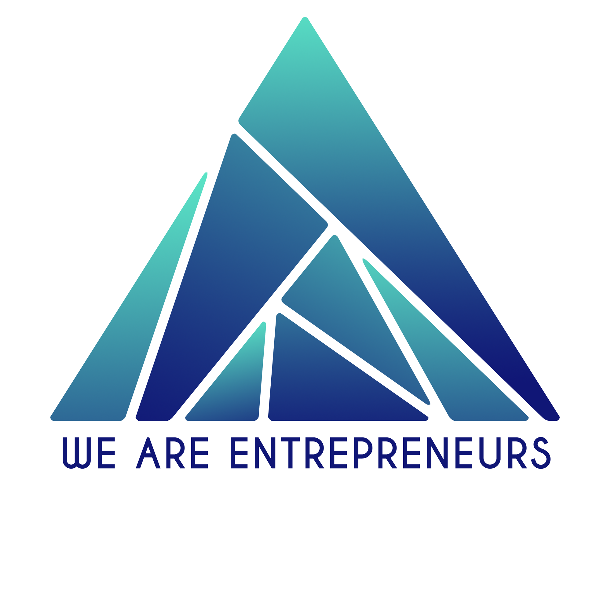 We Are Entrepreneurs ApS