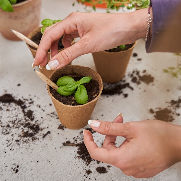 company gallery image