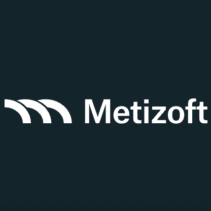 Metizoft