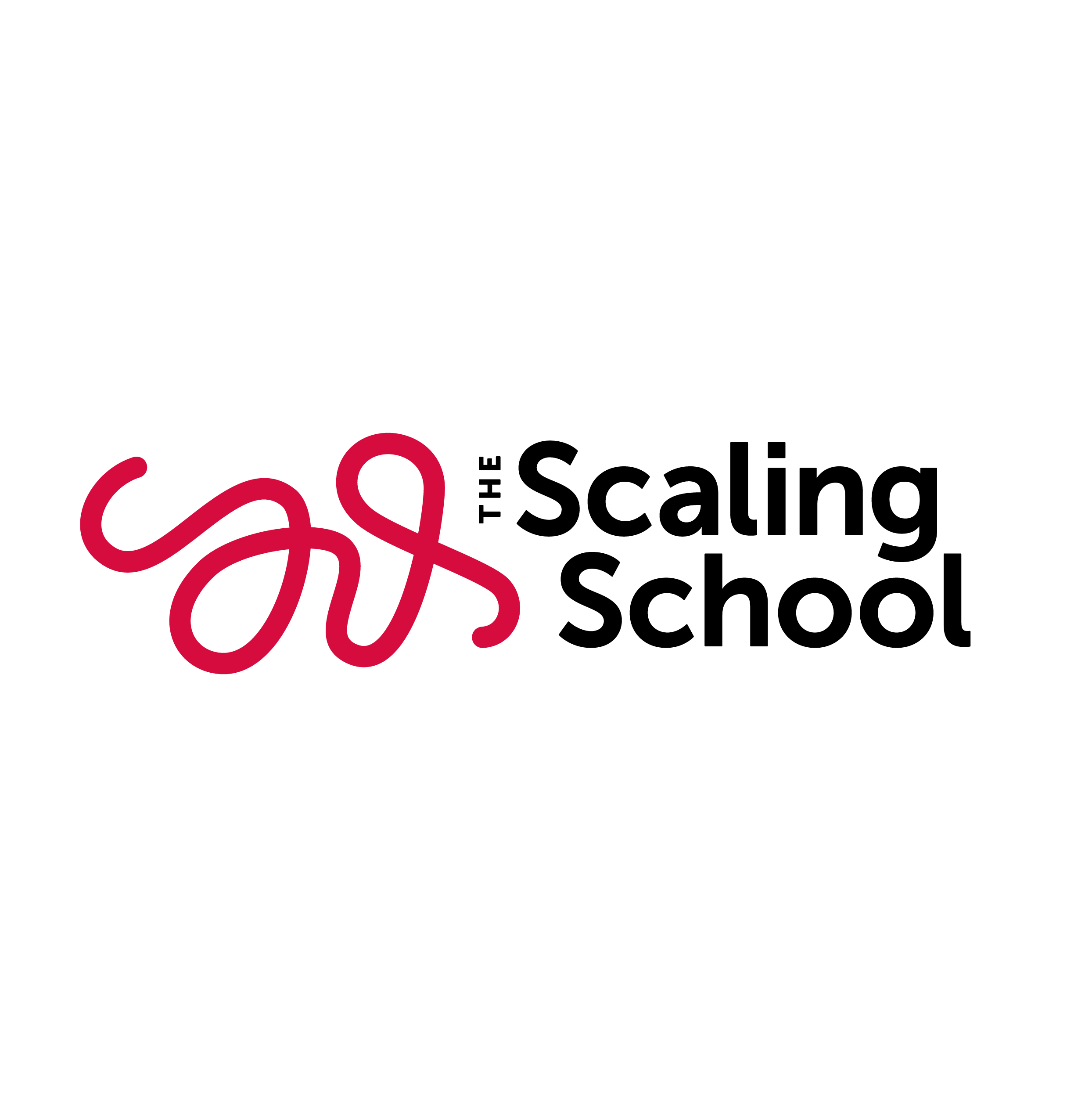 The Scaling School