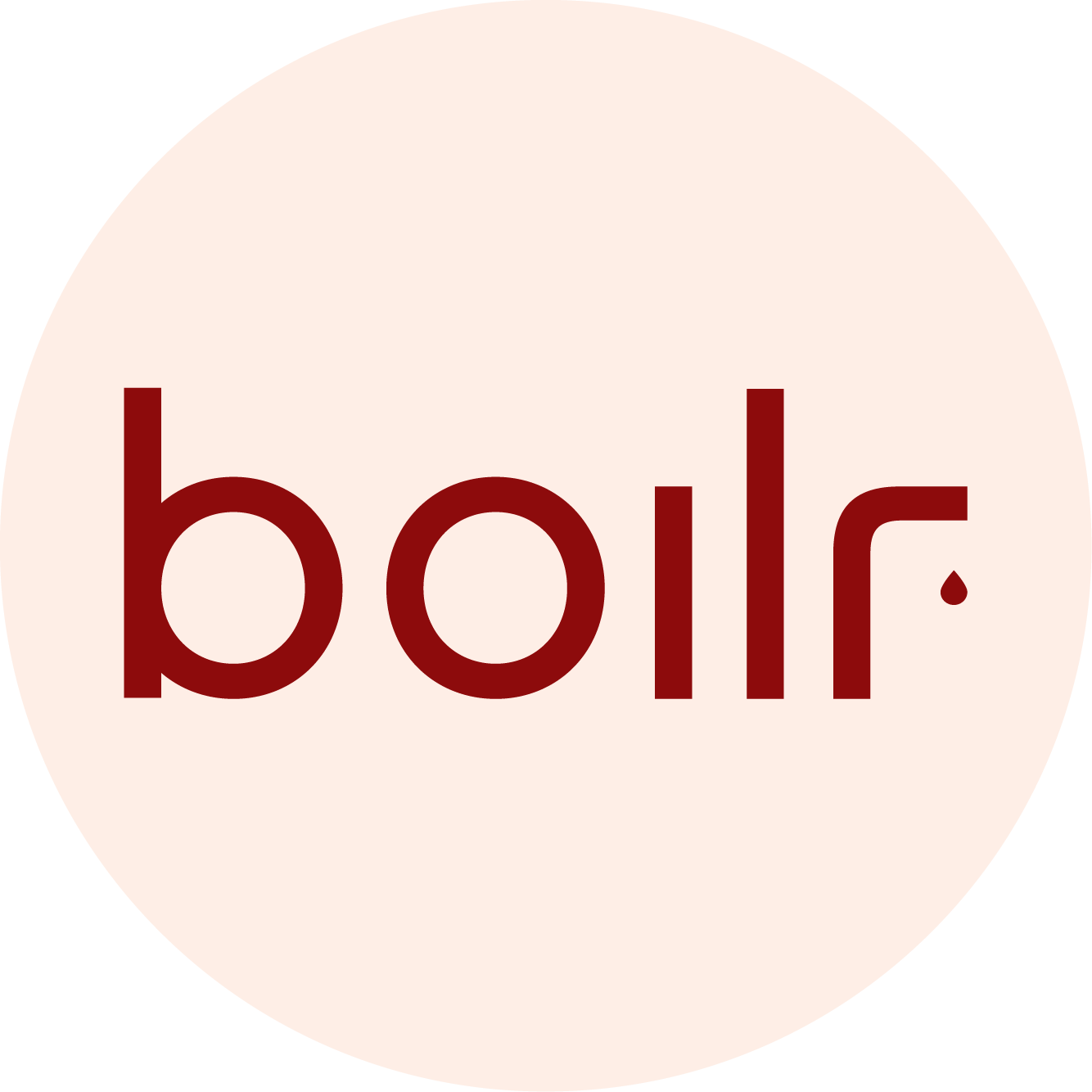 The Boilr