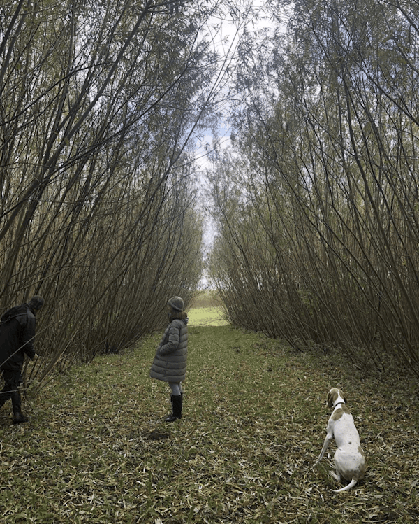 company gallery image