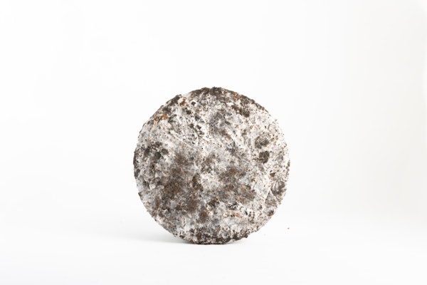 company gallery image