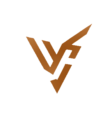 Vero Disruptors Pvt Ltd