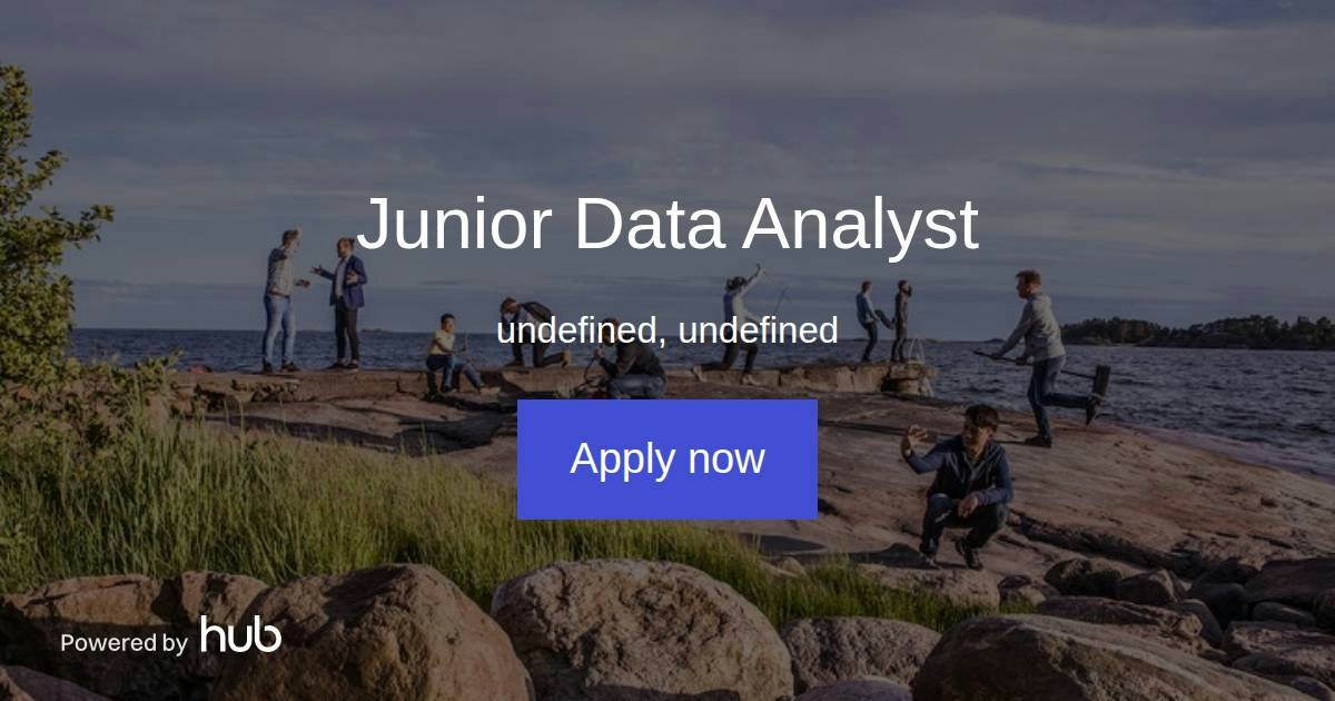The Hub | Junior Data Analyst | SkenarioLabs
