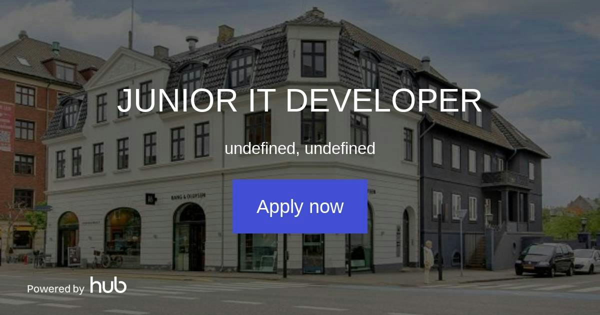 The Hub | JUNIOR IT DEVELOPER | Flex Funding A/S