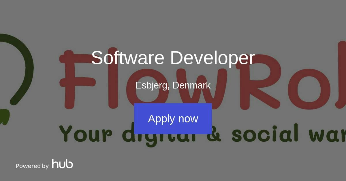 The Hub | Software Developer | FlowRobe