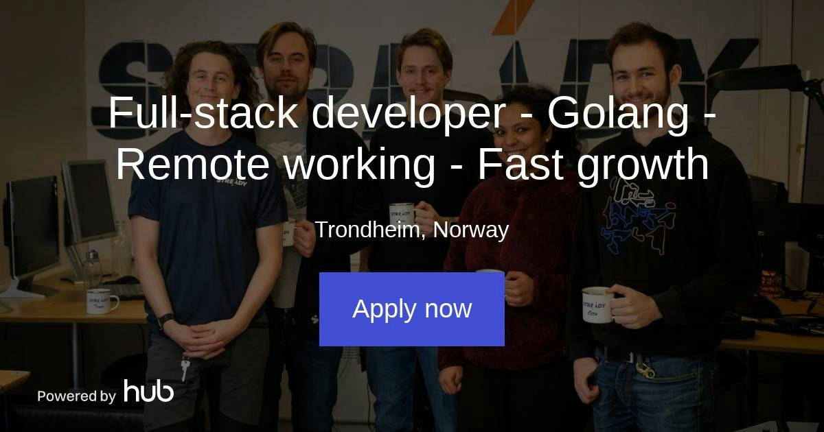 The Hub | Full-stack developer - Golang - Remote working - Fast growth ...