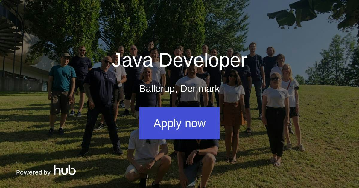 The Hub | Java Developer | Monsido