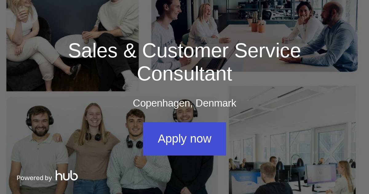 the-hub-sales-customer-service-consultant-salary-dk