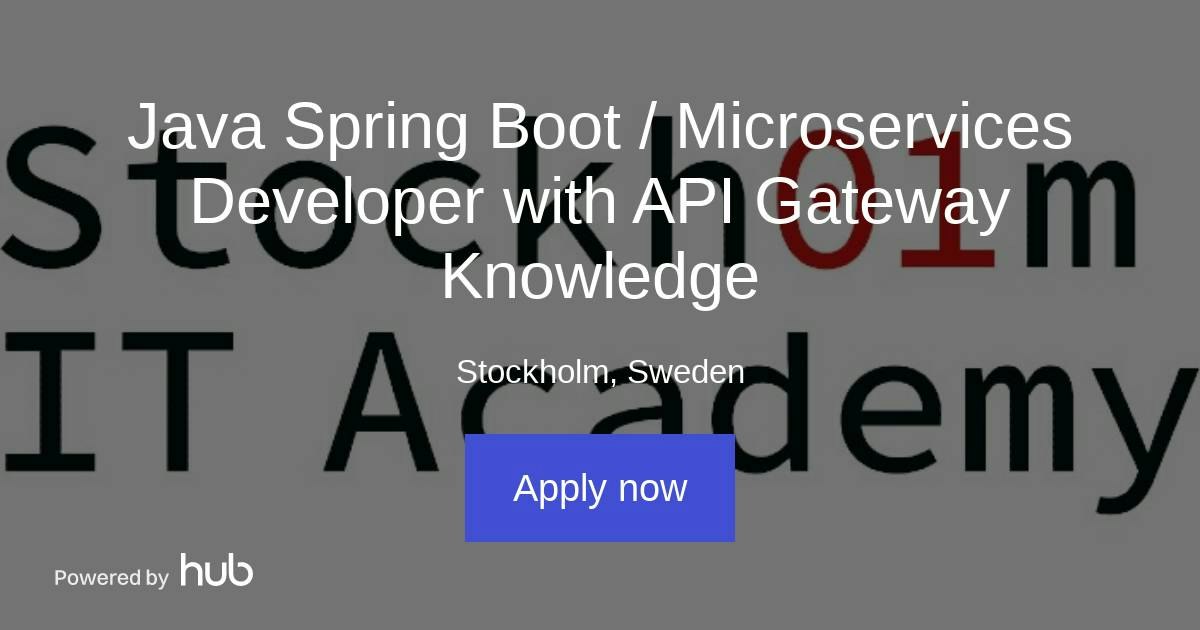 The Hub | Java Spring Boot / Microservices Developer with API Gateway ...
