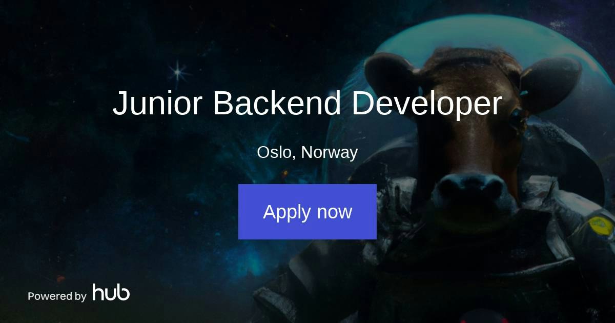 The Hub | Junior Backend Developer | Monil AS